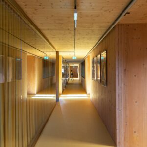 Thi Công Trần Gỗ